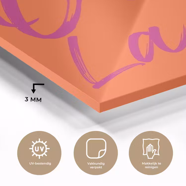 Oh la la - Oranje - Roze - Grafisch plexiglas 5mm klein -sfeer2