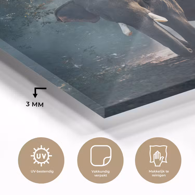 Olifant - Dieren - Licht - Bos - Natuur - Wilde dieren plexiglas 5mm klein -sfeer2