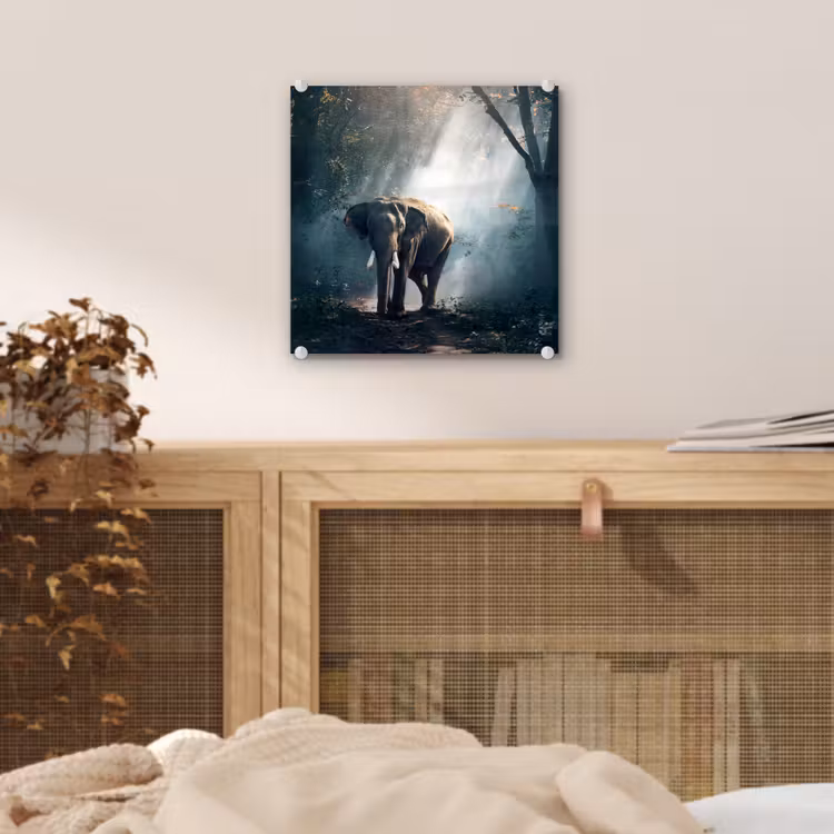 Olifant - Dieren - Licht - Bos - Natuur - Wilde dieren plexiglas 5mm klein -sfeer4