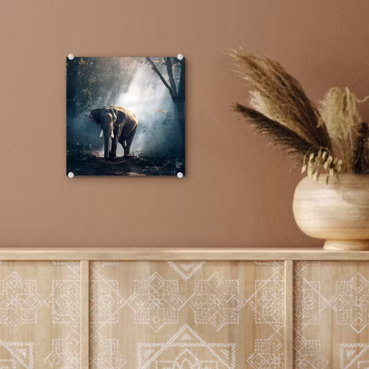 Olifant - Dieren - Licht - Bos - Natuur - Wilde dieren plexiglas 5mm klein -sfeer5