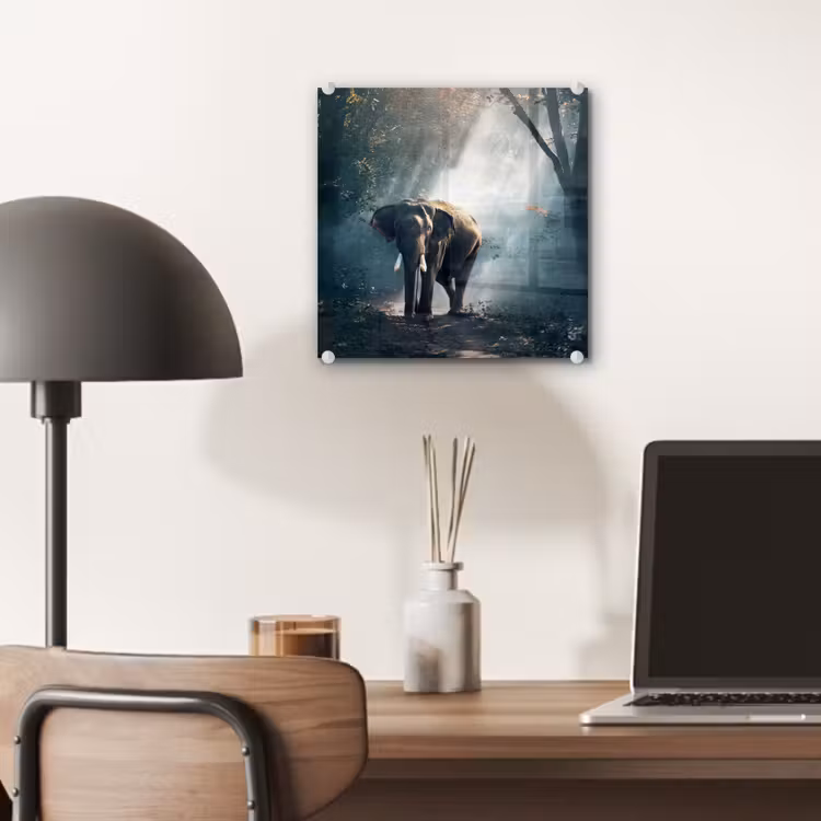 Olifant - Dieren - Licht - Bos - Natuur - Wilde dieren plexiglas 5mm klein -sfeer6