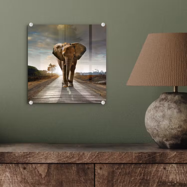 Olifant - Weg - Dieren - Zonsondergang - Landschap plexiglas 5mm klein -sfeer3