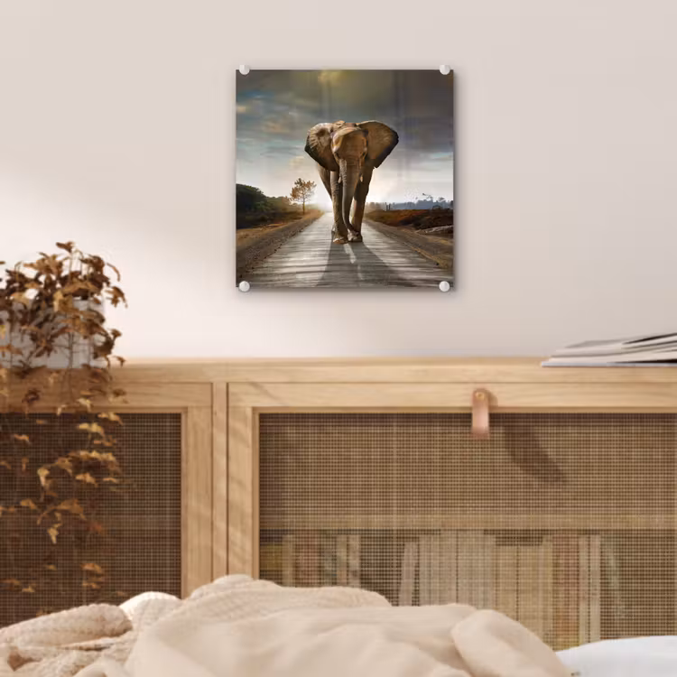Olifant - Weg - Dieren - Zonsondergang - Landschap plexiglas 5mm klein -sfeer4