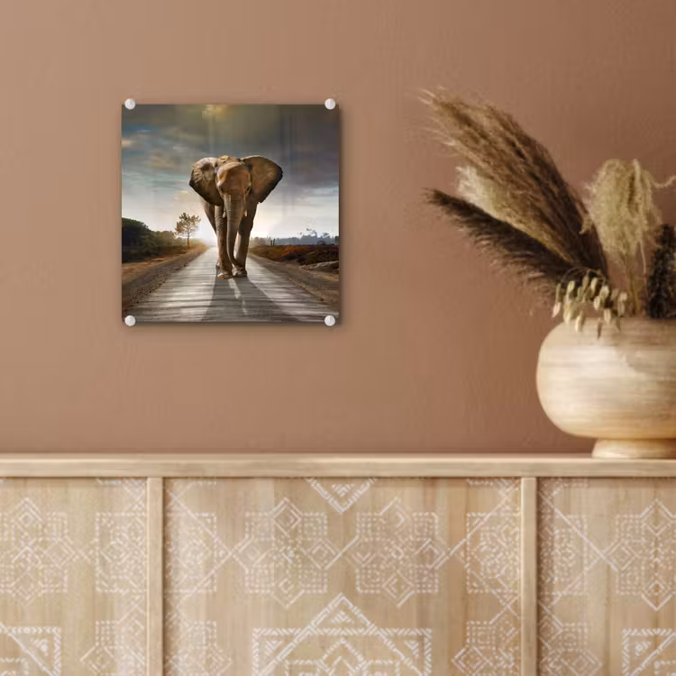Olifant - Weg - Dieren - Zonsondergang - Landschap plexiglas 5mm klein -sfeer5