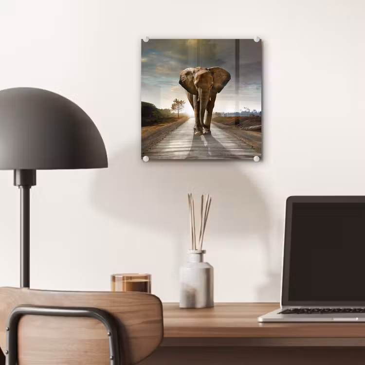 Olifant - Weg - Dieren - Zonsondergang - Landschap plexiglas 5mm klein -sfeer6