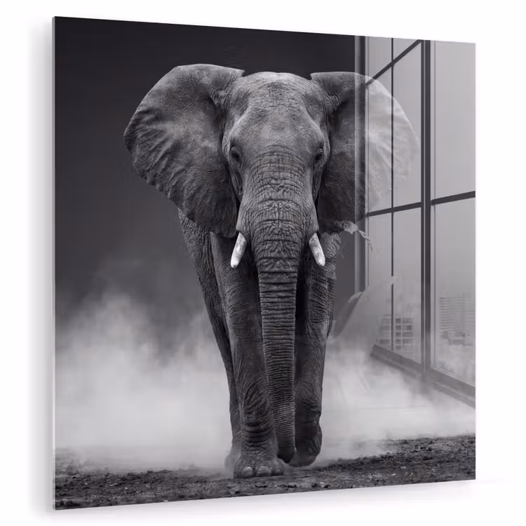 Olifant - Zwart - Wit - Rook plexiglas 5mm klein -zzzproduct_nieuw