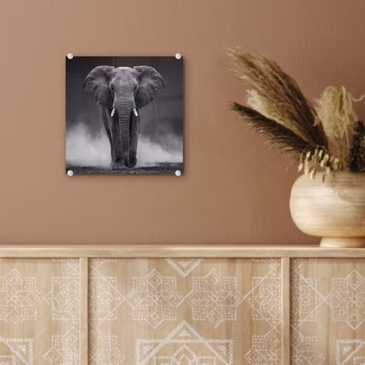 Olifant - Zwart - Wit - Rook plexiglas 5mm klein -sfeer5