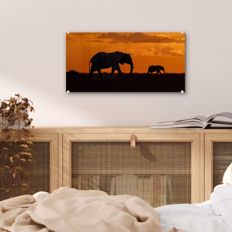 Olifanten - Savanne - Zonsondergang plexiglas 5mm klein -sfeer4