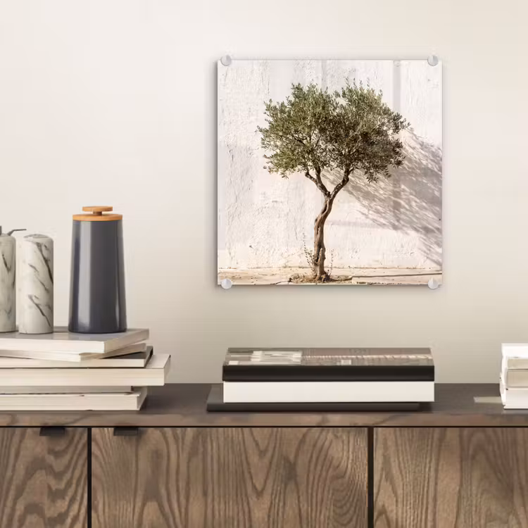 Glas schilderij - Olijfboom - muur - wit - Olijfboom - muur - wit plexiglas 5mm klein