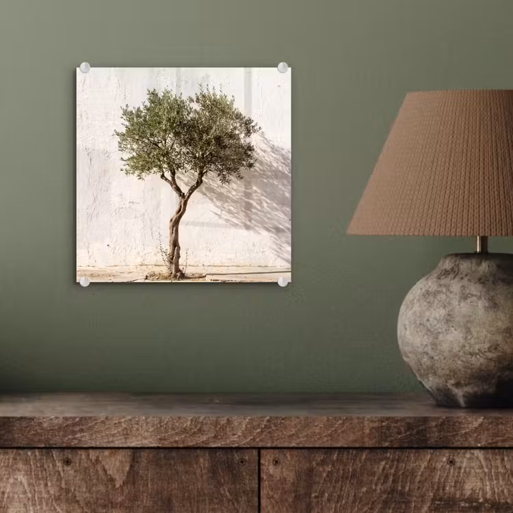 Glas schilderij - Olijfboom - muur - wit - Olijfboom - muur - wit plexiglas 5mm klein