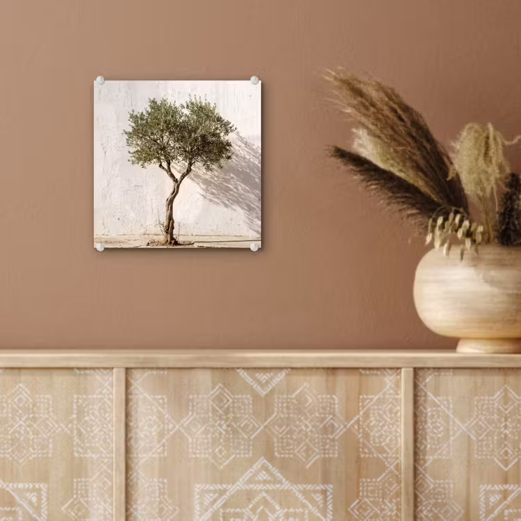 Glas schilderij - Olijfboom - muur - wit - Olijfboom - muur - wit plexiglas 5mm klein