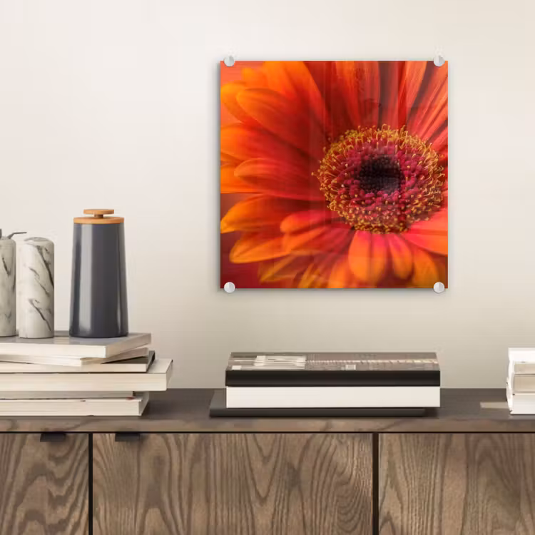 Oranje - Gerbera - Intens plexiglas 5mm klein -sfeer1