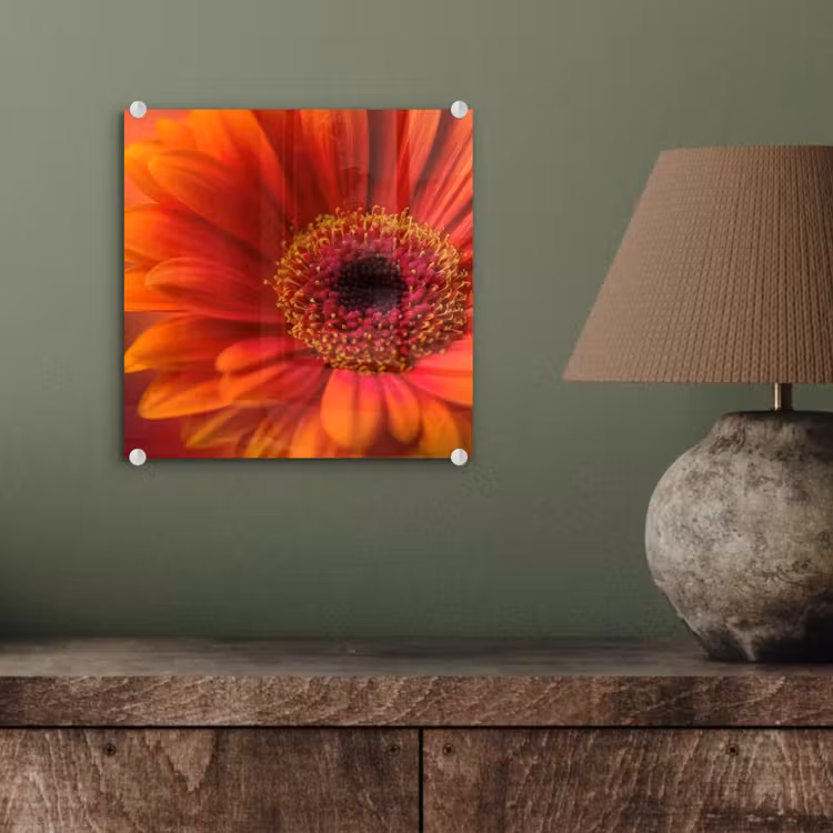 Oranje - Gerbera - Intens plexiglas 5mm klein -sfeer3