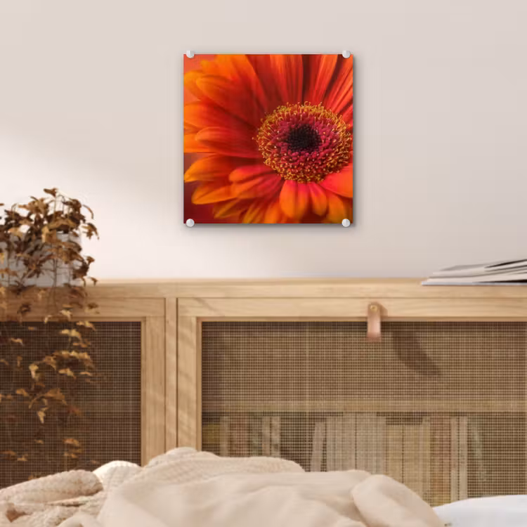 Oranje - Gerbera - Intens plexiglas 5mm klein -sfeer4