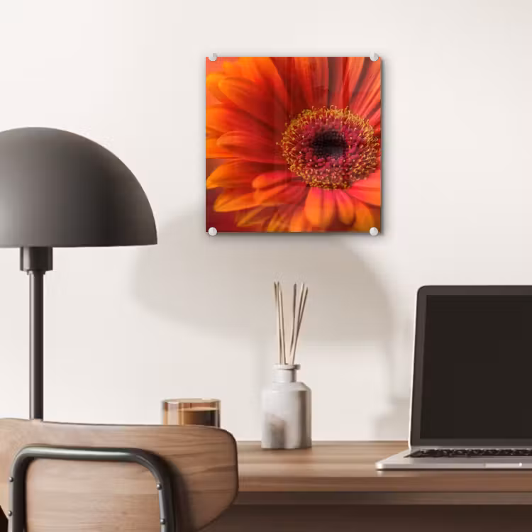 Oranje - Gerbera - Intens plexiglas 5mm klein -sfeer6