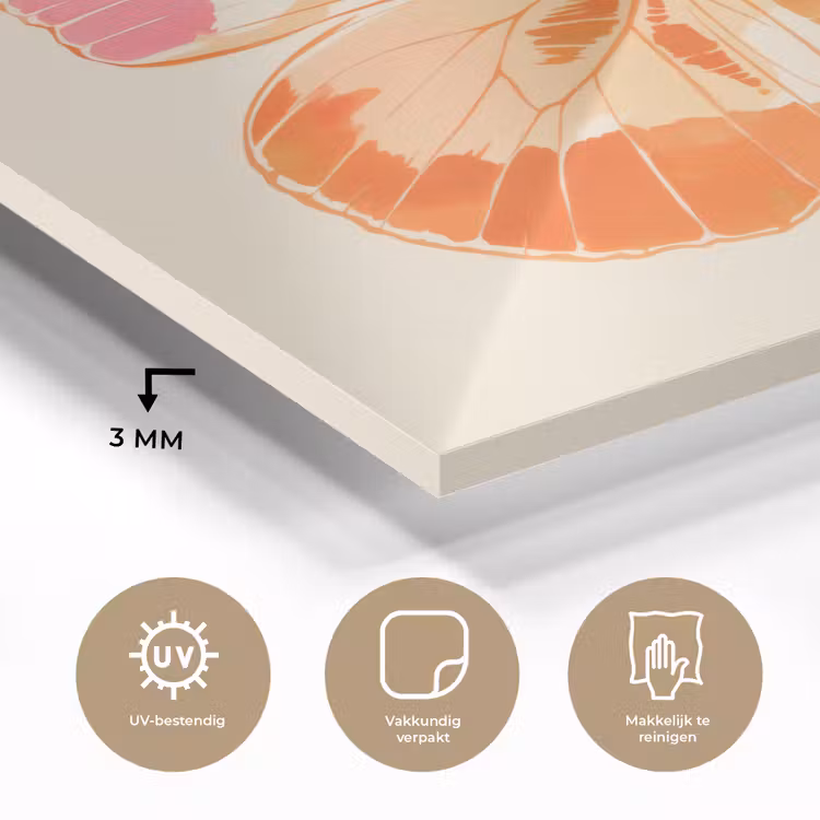 Oranje - Vlinder - Minimalistisch plexiglas 5mm klein -sfeer2