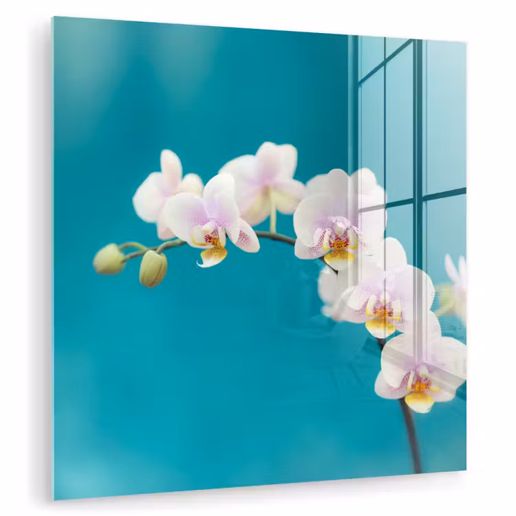 Orchidee - Bloemen - Plant - Wit - Paars plexiglas 5mm klein -zzzproduct_nieuw
