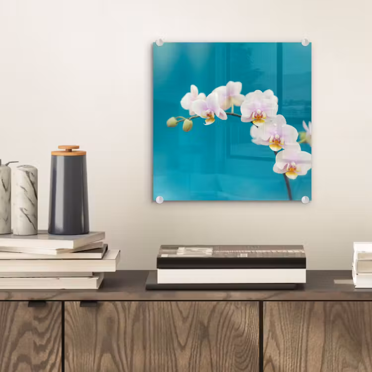 Orchidee - Bloemen - Plant - Wit - Paars plexiglas 5mm klein -sfeer1