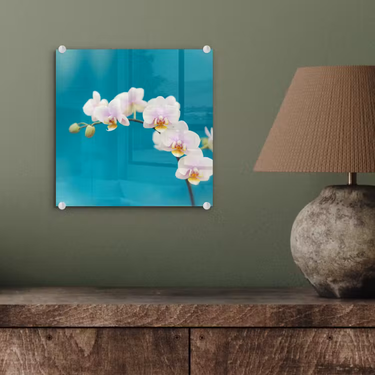 Orchidee - Bloemen - Plant - Wit - Paars plexiglas 5mm klein -sfeer3