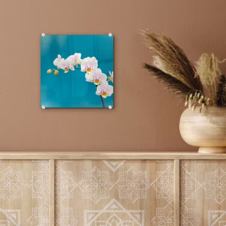 Orchidee - Bloemen - Plant - Wit - Paars plexiglas 5mm klein -sfeer5