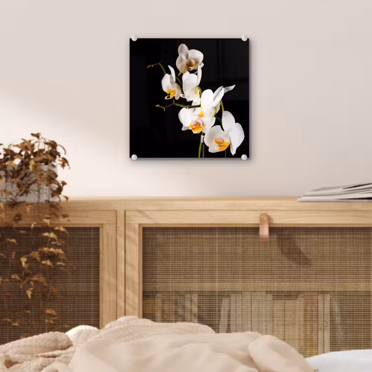 Orchidee - Bloemen - Planten - Botanisch plexiglas 5mm klein -sfeer4