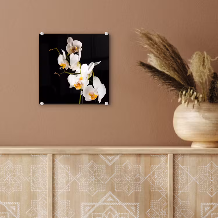 Orchidee - Bloemen - Planten - Botanisch plexiglas 5mm klein -sfeer5