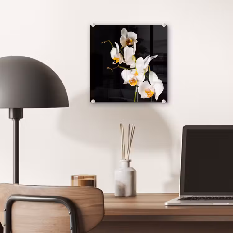 Orchidee - Bloemen - Planten - Botanisch plexiglas 5mm klein -sfeer6