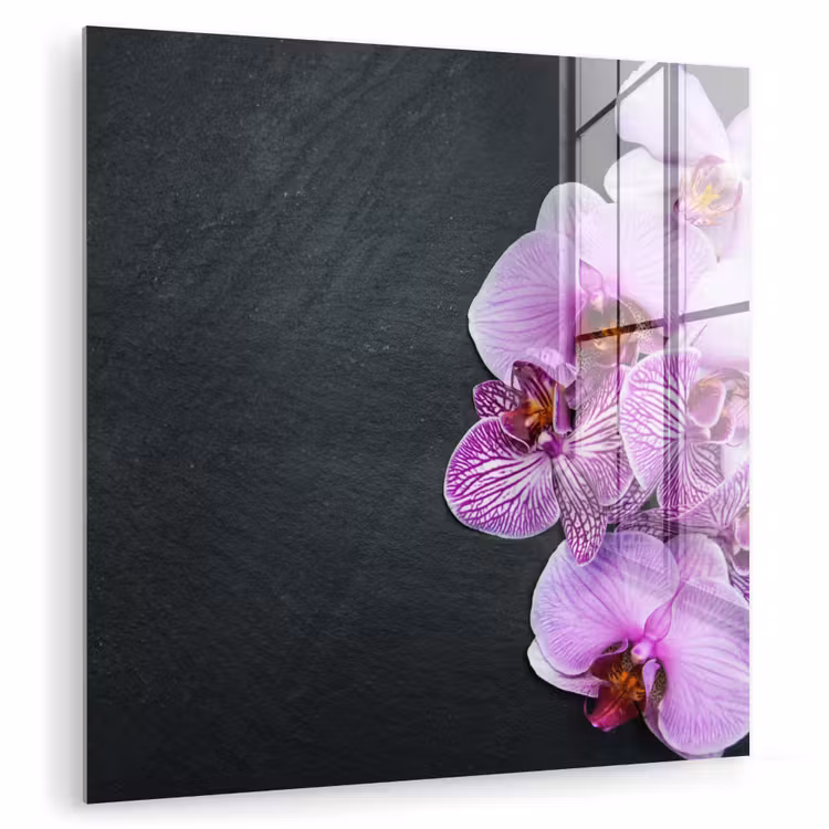 Orchidee - Bloemen - Roze - Flora plexiglas 5mm klein -zzzproduct_nieuw