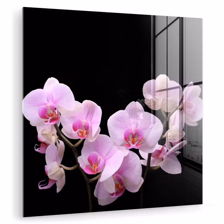 Orchidee - Bloemen - Roze - Flora plexiglas 5mm klein -zzzproduct_nieuw