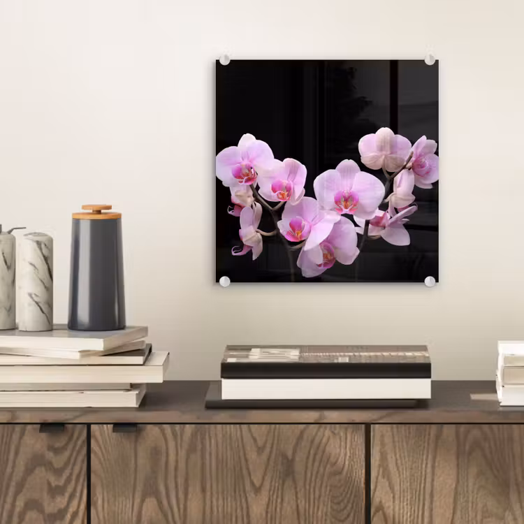 Orchidee - Bloemen - Roze - Flora plexiglas 5mm klein -sfeer1