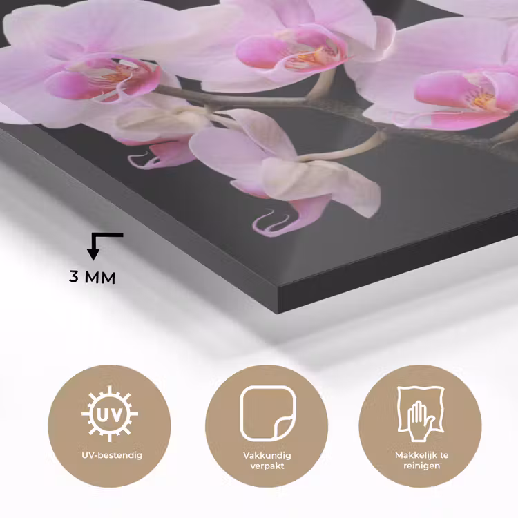 Orchidee - Bloemen - Roze - Flora plexiglas 5mm klein -sfeer2
