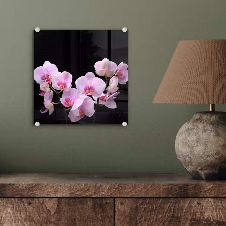 Orchidee - Bloemen - Roze - Flora plexiglas 5mm klein -sfeer3