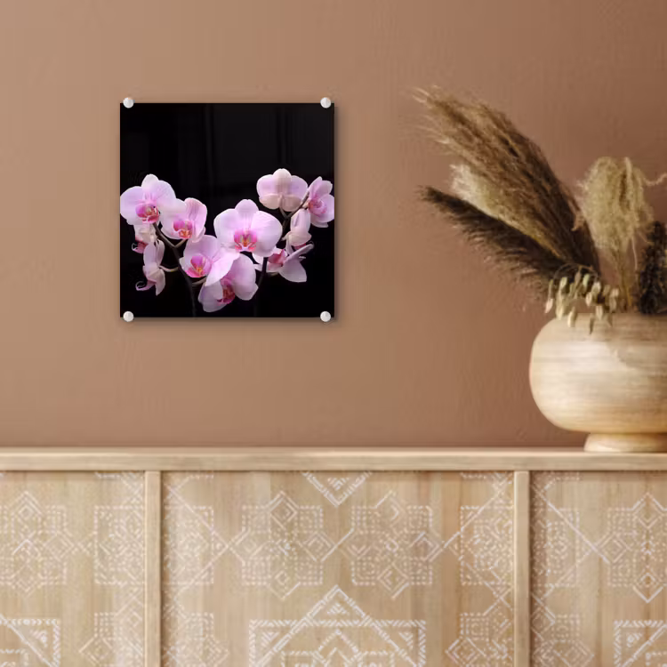 Orchidee - Bloemen - Roze - Flora plexiglas 5mm klein -sfeer5