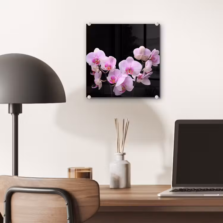 Orchidee - Bloemen - Roze - Flora plexiglas 5mm klein -sfeer6