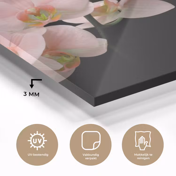Orchidee - Bloemen - Roze - Stilleven - Flora plexiglas 5mm klein -sfeer2