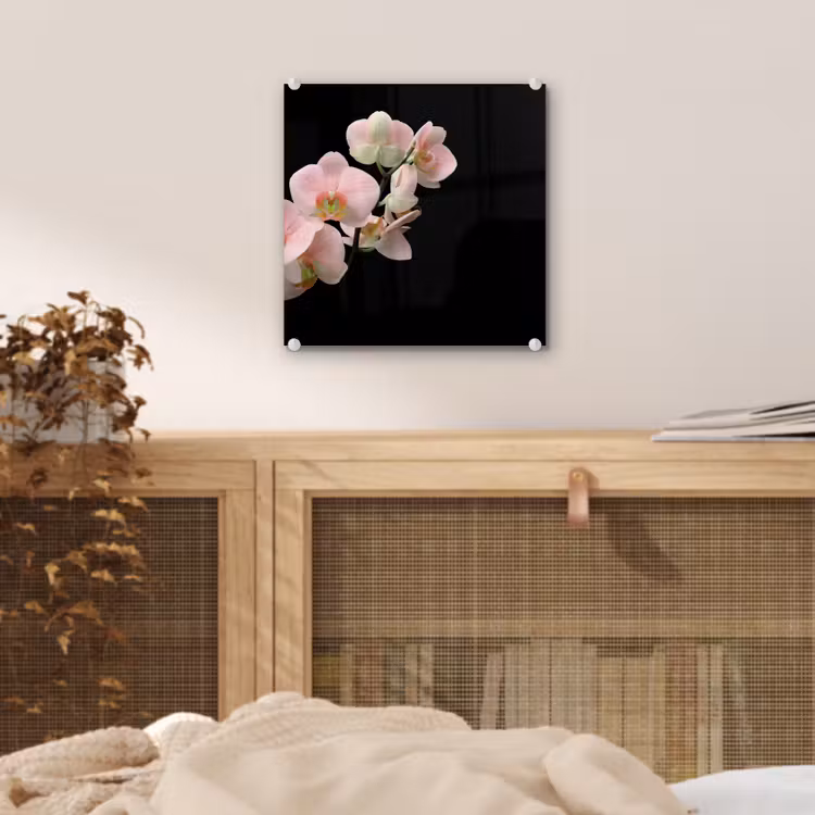 Orchidee - Bloemen - Roze - Stilleven - Flora plexiglas 5mm klein -sfeer4