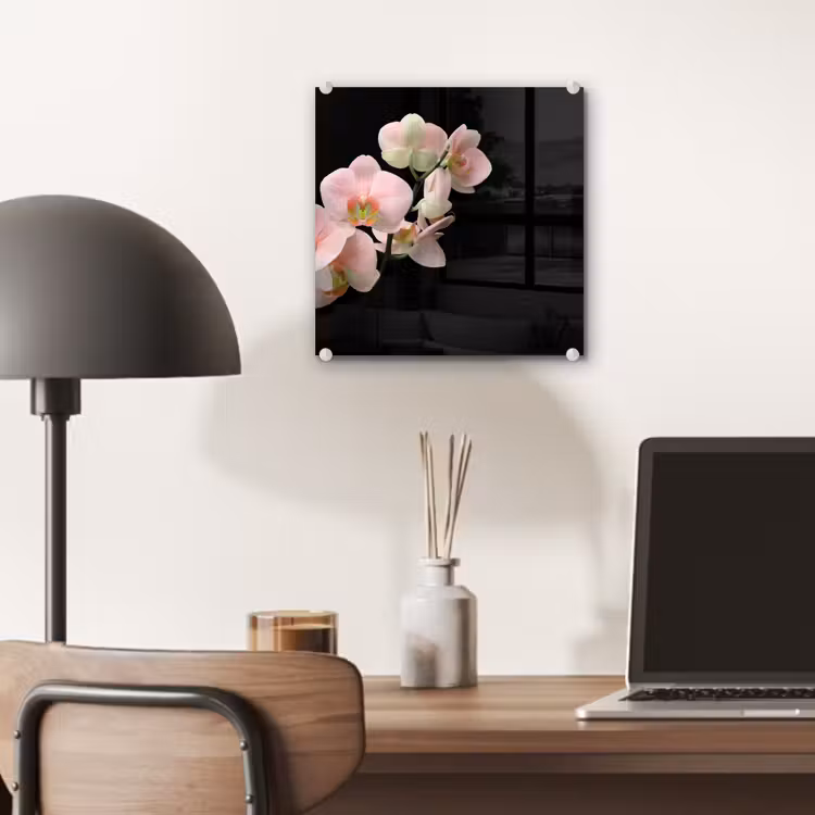 Orchidee - Bloemen - Roze - Stilleven - Flora plexiglas 5mm klein -sfeer6