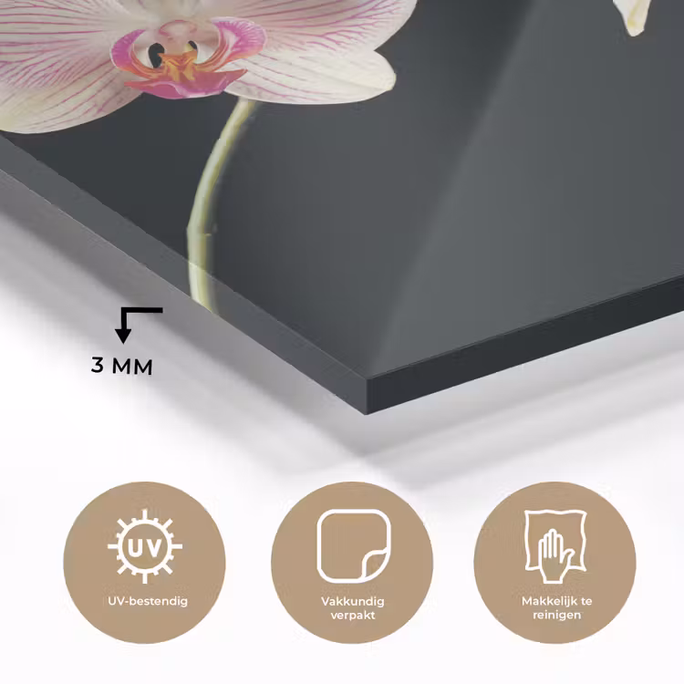 Orchidee - Bloemen - Zwart - Roze - Knoppen plexiglas 5mm klein -sfeer2