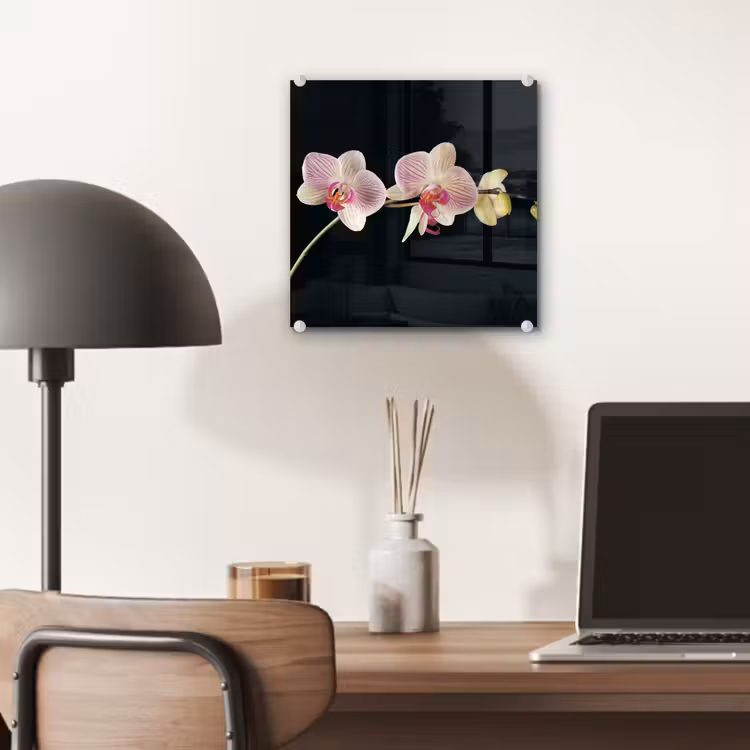Orchidee - Bloemen - Zwart - Roze - Knoppen plexiglas 5mm klein -sfeer6
