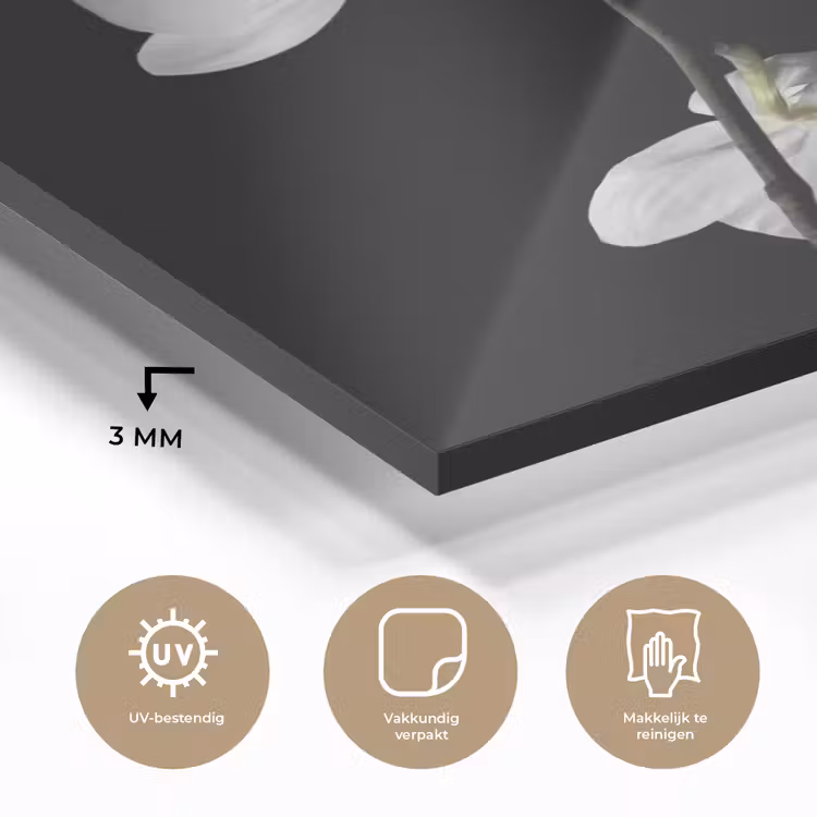 Orchidee - Bloemen - Zwart - Wit - Stilleven plexiglas 5mm klein -sfeer2