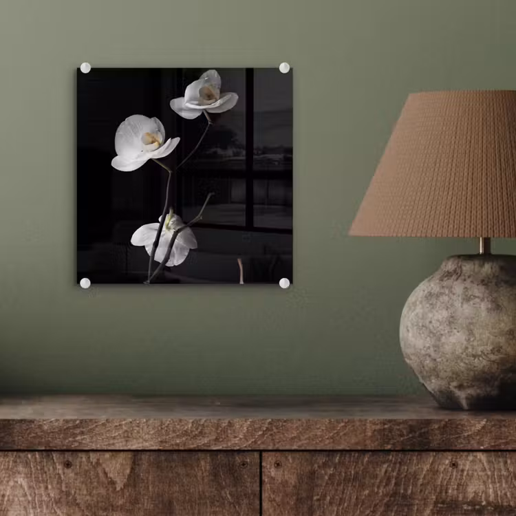 Orchidee - Bloemen - Zwart - Wit - Stilleven plexiglas 5mm klein -sfeer3