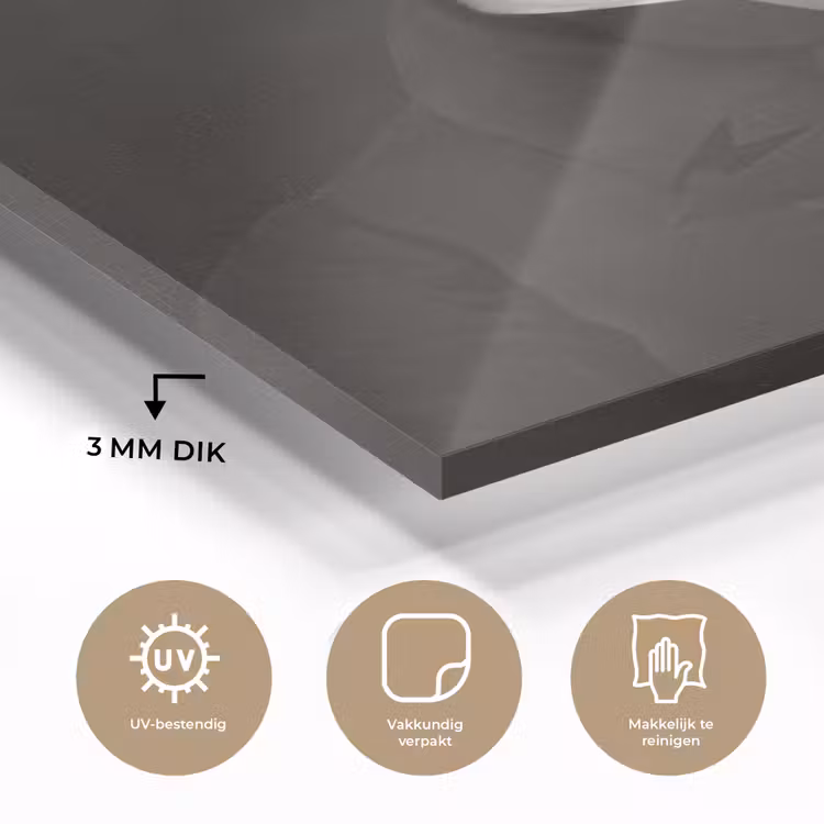 Oude Meesters - Schotse Hooglander - Dieren plexiglas 5mm klein -sfeer2