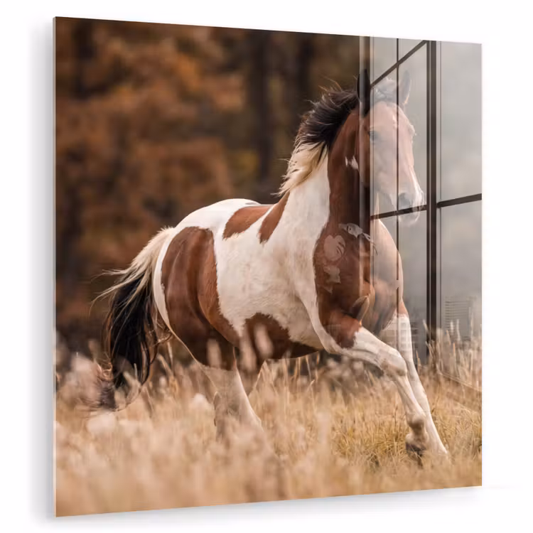 Paard - Bruin - Gras plexiglas 5mm klein -zzzproduct_nieuw