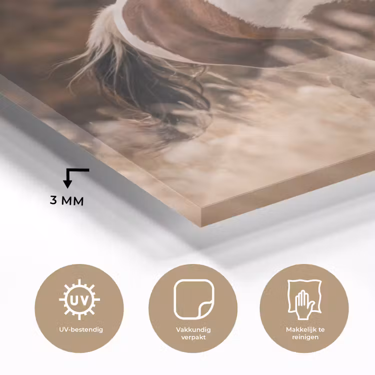 Paard - Bruin - Gras plexiglas 5mm klein -sfeer2