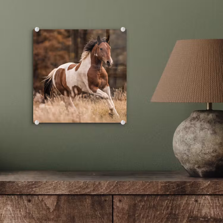 Paard - Bruin - Gras plexiglas 5mm klein -sfeer3