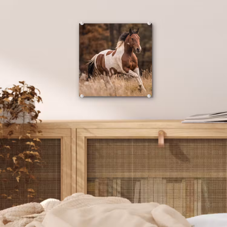 Paard - Bruin - Gras plexiglas 5mm klein -sfeer4