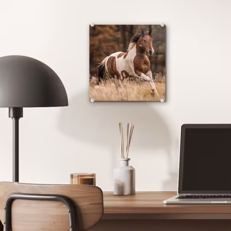 Paard - Bruin - Gras plexiglas 5mm klein -sfeer6