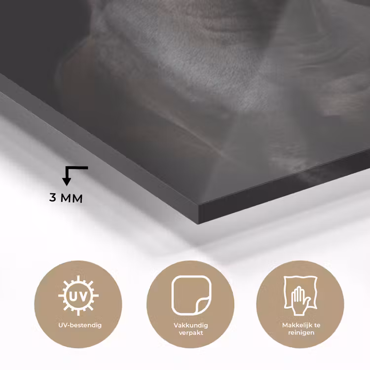 Paard - Dieren - Zwart - Portret plexiglas 5mm klein -sfeer2
