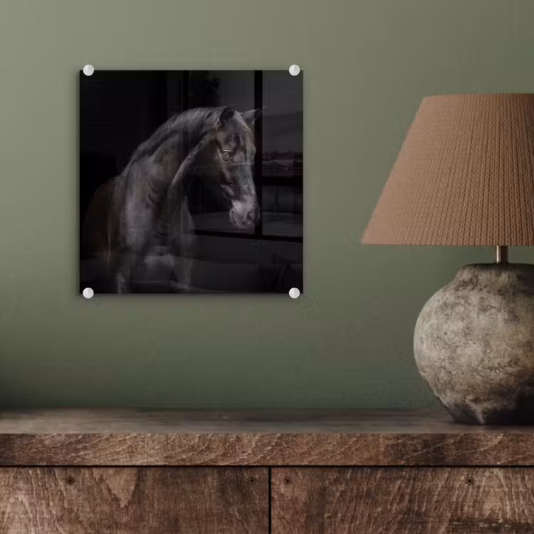 Paard - Dieren - Zwart - Portret plexiglas 5mm klein -sfeer3