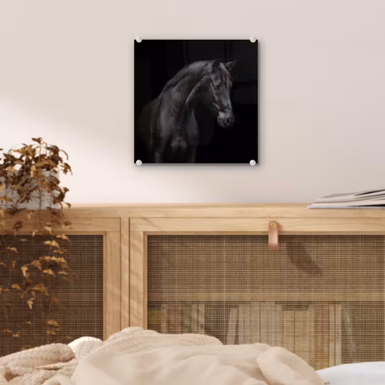 Paard - Dieren - Zwart - Portret plexiglas 5mm klein -sfeer4